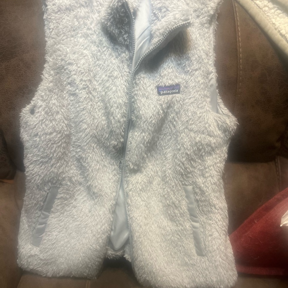 Patagonia Vest
